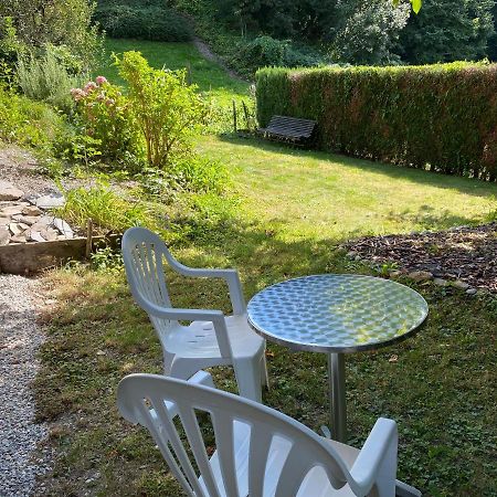 Joli Studio Pres Des Bains De Lavey Lavey-Morcles Exterior foto